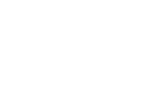 Todyl